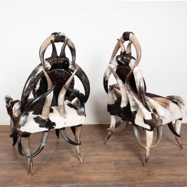 20th Century Set (5) of Horn and Hide Armchairs, Ottomans and Side Table