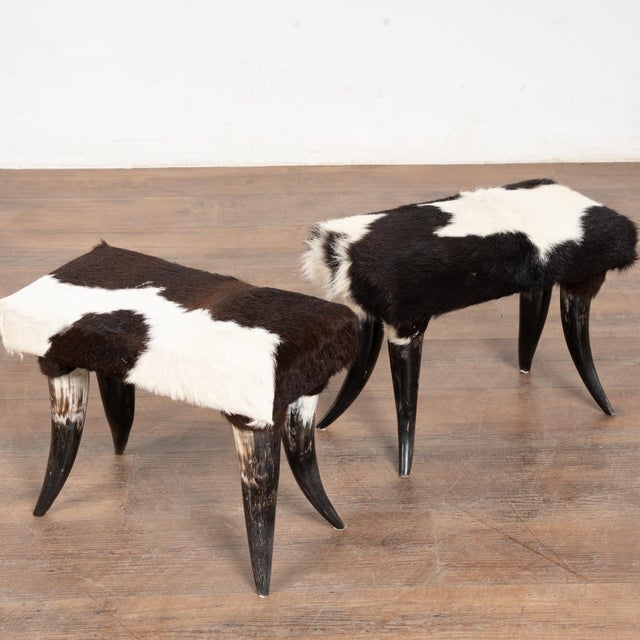 20th Century Set (5) of Horn and Hide Armchairs, Ottomans and Side Table