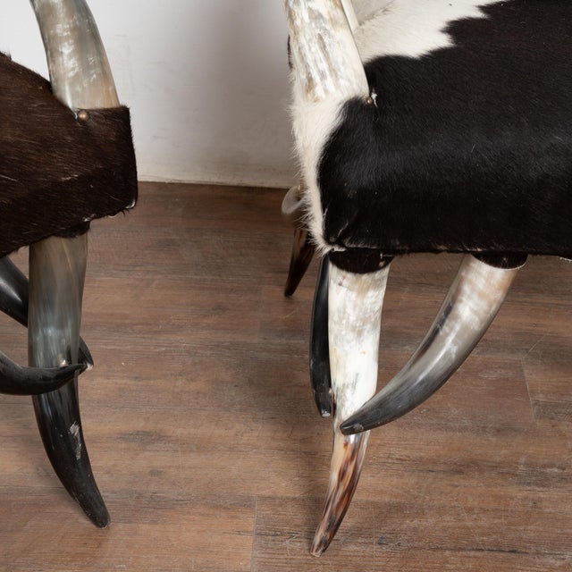 20th Century Set (5) of Horn and Hide Armchairs, Ottomans and Side Table