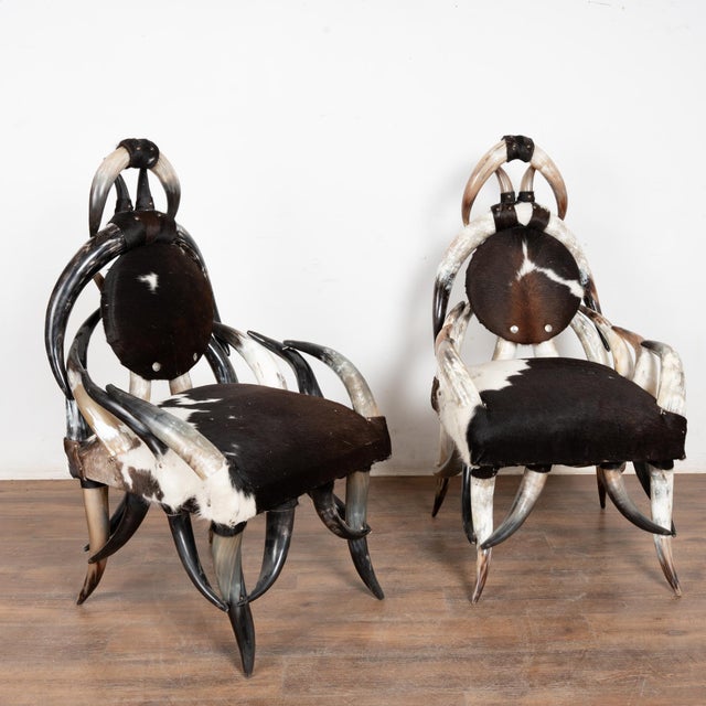 20th Century Set (5) of Horn and Hide Armchairs, Ottomans and Side Table