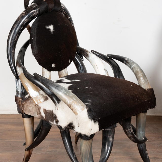 20th Century Set (5) of Horn and Hide Armchairs, Ottomans and Side Table