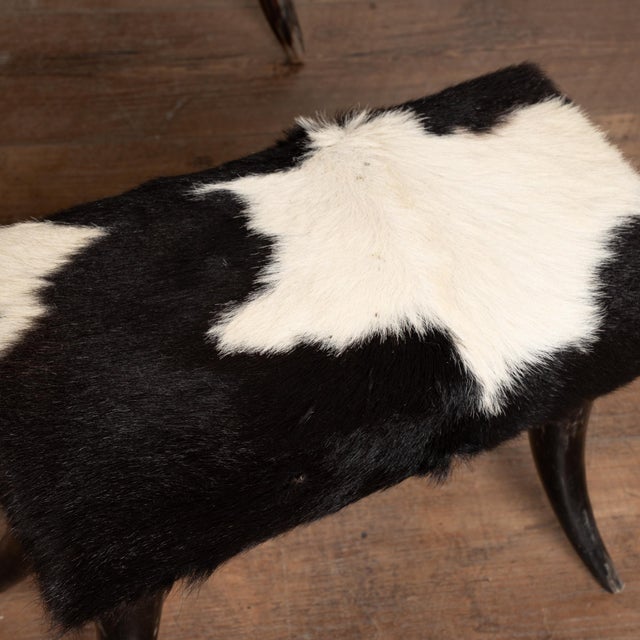 20th Century Set (5) of Horn and Hide Armchairs, Ottomans and Side Table