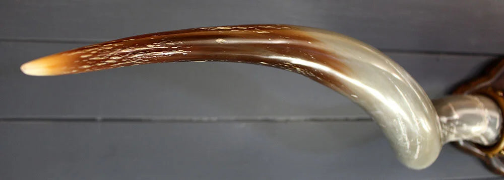 4' 2" Mounted Texas Longhorns #450