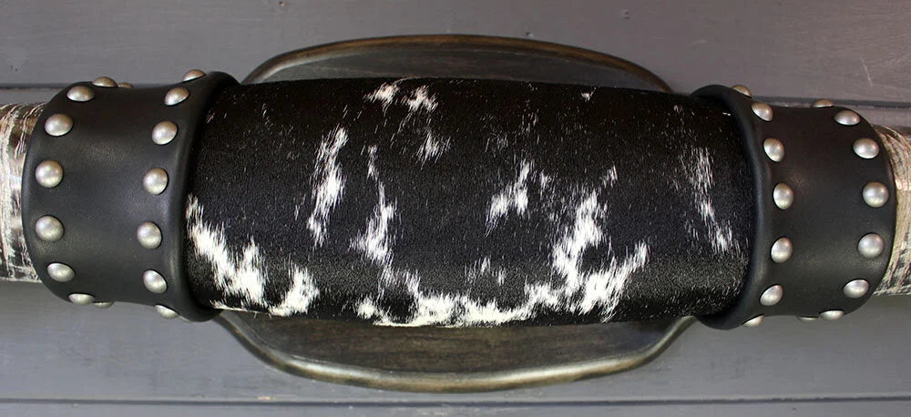 5' 10" Mounted Texas Longhorns #570