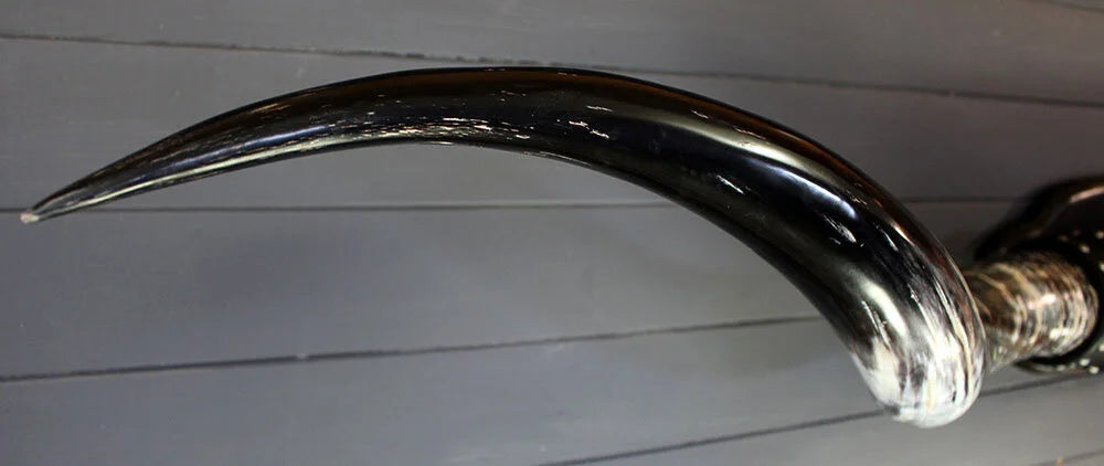 5' 10" Mounted Texas Longhorns #570