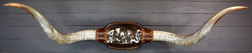 HUGE Real Steer Horn Pair | Traditional Home Décor