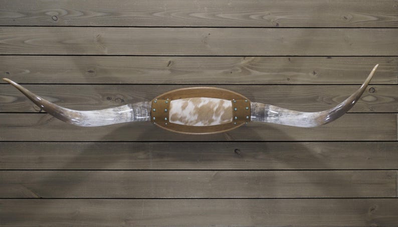 HUGE Real Steer Horn Pair | Traditional Home Décor - Image 6
